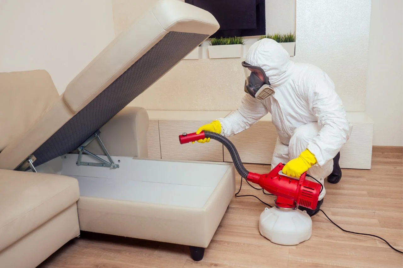 vacuum treatment